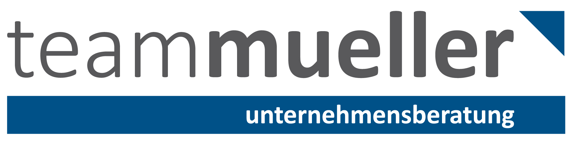 TEAM MÜLLER CONSULTING +Co